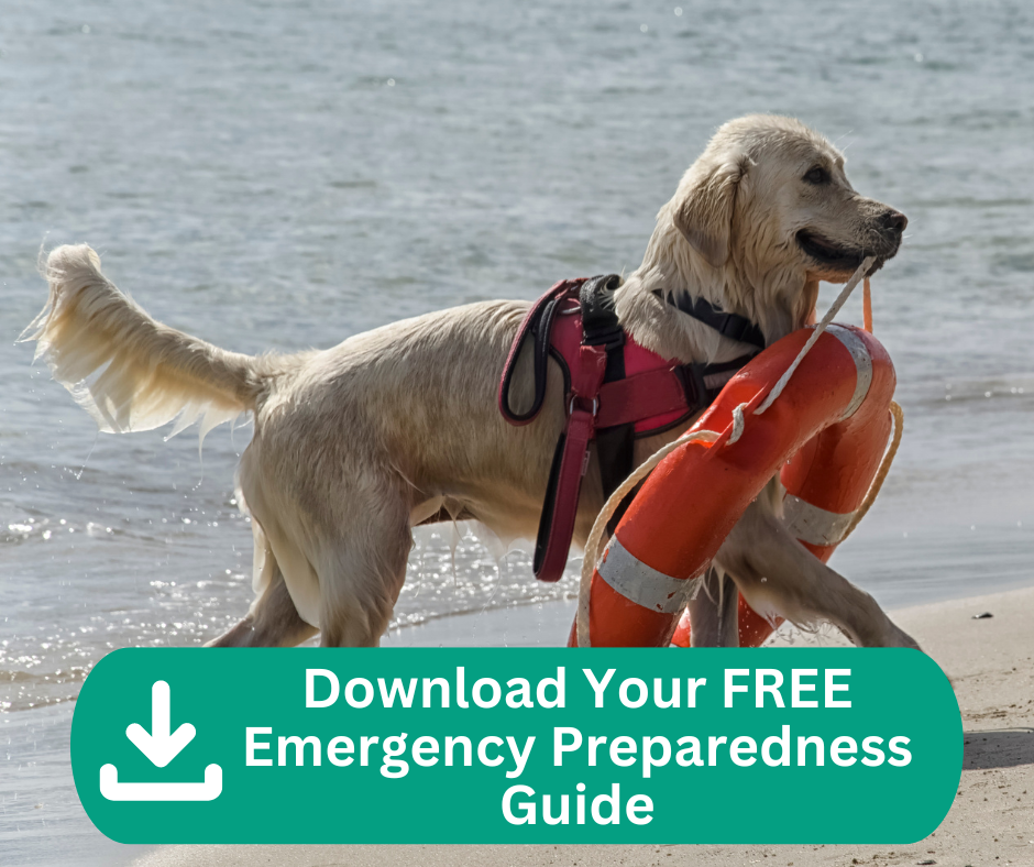 Download our Free Emergency Preparedness Plan Guide for Dog Owners. This is an in depth plan to have on hand to prepare you for emergencies.